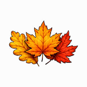Fall
