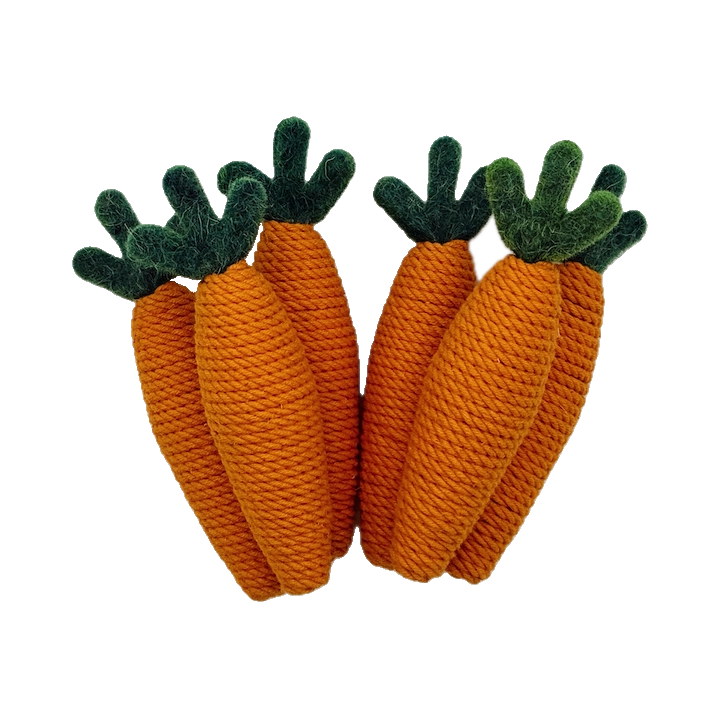 Cord-Wrapped Small Carrots (Set of 6)