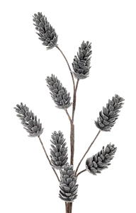 Frosted Pinecone Spray